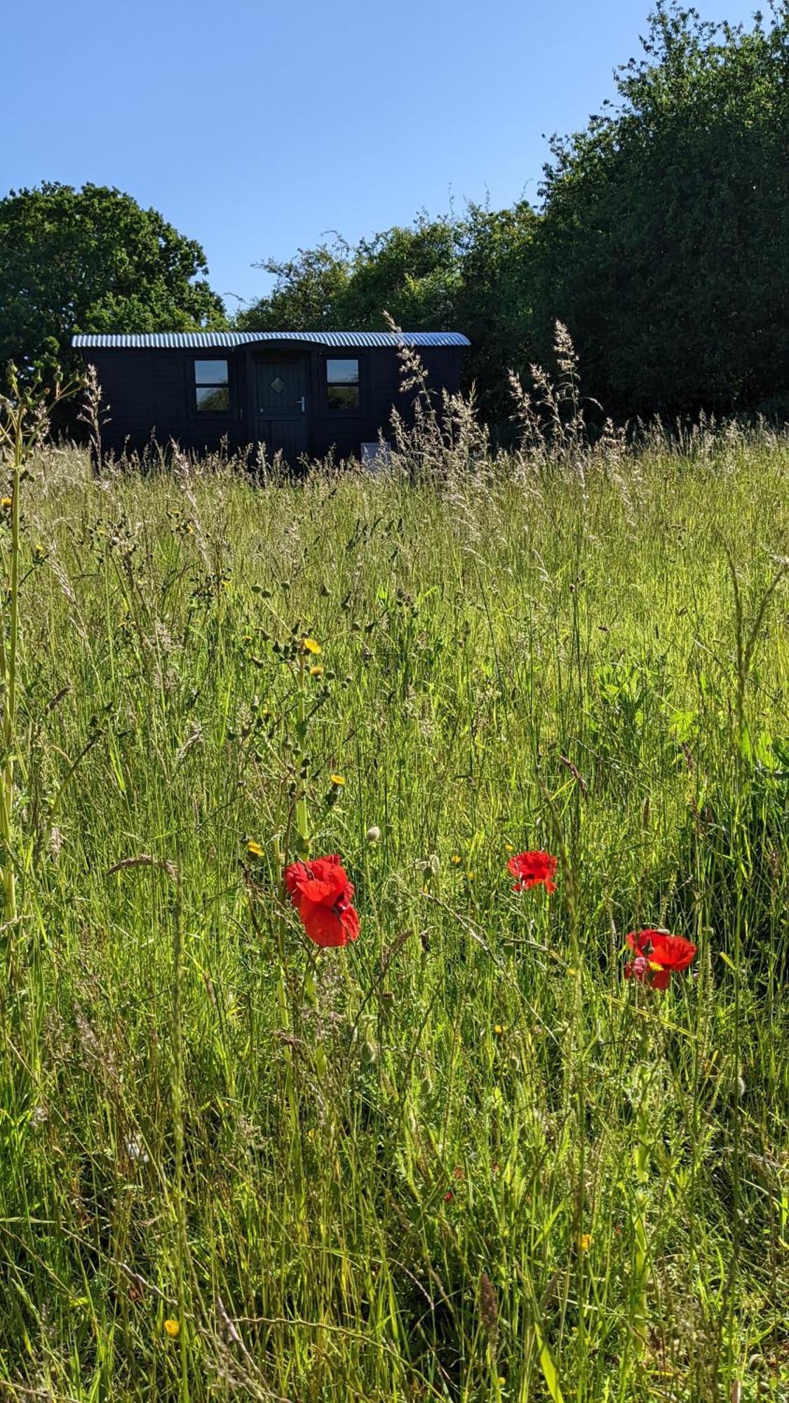 Отель Blue Sky Huts Chediston Экстерьер фото